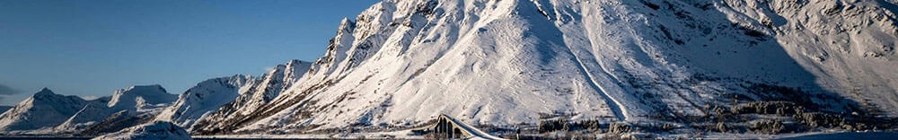 每日大赛吃瓜