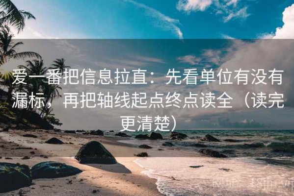 爱一番把信息拉直：先看单位有没有漏标，再把轴线起点终点读全（读完更清楚）